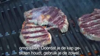 Weber Q1000 gas bbq - uitleg video, productvideo, review Barbecueshop en Tom Coronel