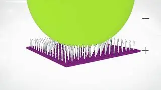 360protex with Shield Plus by Panaz how it works graphic