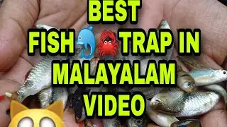 Fish trap and fish feeding