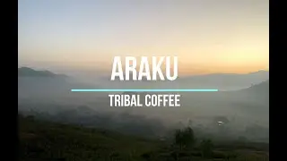 Araku: Tribal Coffee