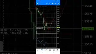 #forexindonesia
