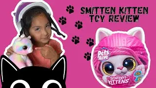 Smitten Kittens toy review