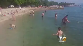 Seen At 11: Some Suffer From Summer Sadness