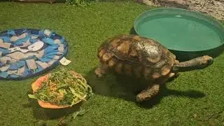 El Paso Zoo Saturday August 31st 2024