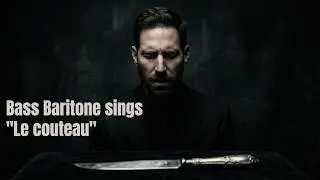 Bass-baritone sings song 