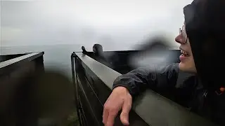 На грузовых поездах по Абхазии ЗИМОЙ вдоль Черного моря!