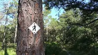 Hiking Sign / Foot Traffic