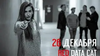 Red Data Cat - Мосты (анонс)
