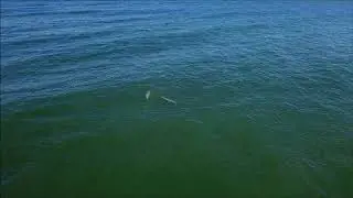 Pelican Beach Park