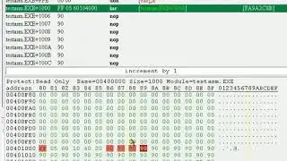 Making a program in Assembly using Cheat Engine