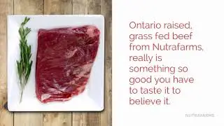Grass Fed Beef- Nutrafarms