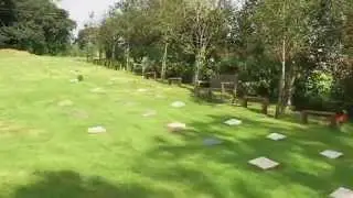 Cherry Trees at Harbour View Woodland Burial Ground
