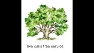 Live Oaks Tree Service / Reliable High Risk Tree Cutting In Houston TX
