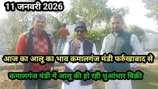 आज का आलू का भाव कमालगंज मंडी फर्रुखाबाद से 11 जनवरी 2026