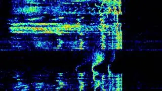 Ernie gets rowdy on a friday night 7200 khz 6/27/25