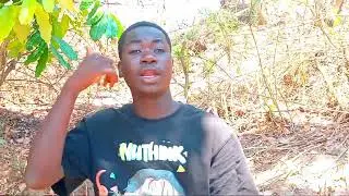 Disax nachon ft djiphal felix_-maputa bhassalache