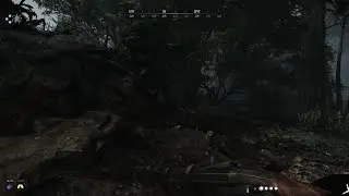 HUNT: SHOWDOWN 1896_20250305232635