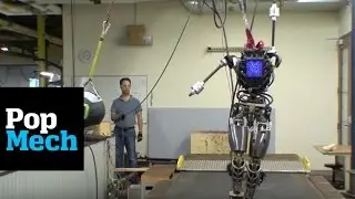 Boston Dynamics Vs. Boston Dynamics Robots | PopMech