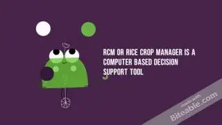 Rice Crop Manager (RCM) Caraga DA- Research Division