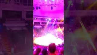 28 августа 2018 г.