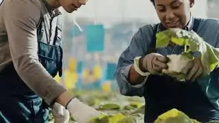 🌍 D&iacute;a de Lucha contra la Desertificaci&oacute;n y la Sequ&iacute;a 💧🌱