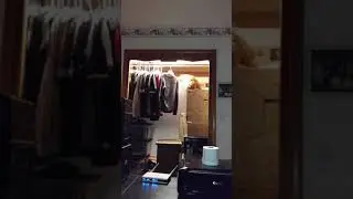 Rusty in the closet, just exploring