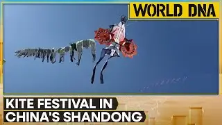 42nd Weifang International Kite Festival: Colorful Kites from 51 Countries Take Flight in Shandong