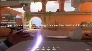 What happens if you spam inspect with valorant's new 