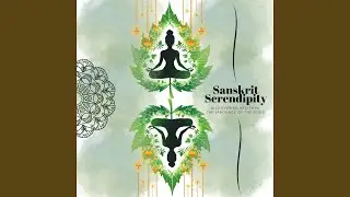 Traditional Wellness