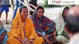 Shaping a safer world