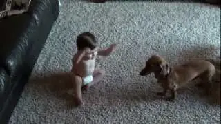 Baby chasing dog
