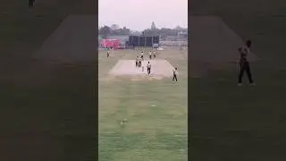 MSPL Live highlight