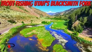 Trout Fishing Utah's Blacksmith Fork