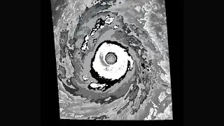 Super Typhoon Trami (28W/Paeng) 2018 Dvorak Infrared Satellite Imagery.