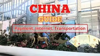 [ENG SUB] China Guide: Payment, Internet, Transportation | Things to prepare before your China Trip