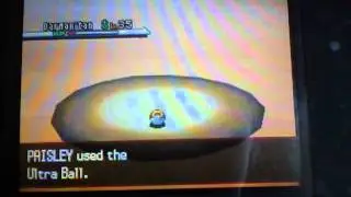 catching darmanitan