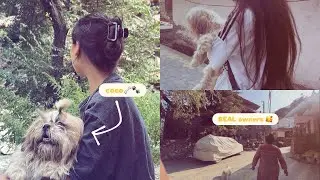 Who is the owner of coco ???? ||| Part-01 ||| #YBvlogs