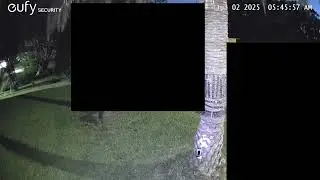 Raccoon testing bird spikes up toward a 🐦 nest box