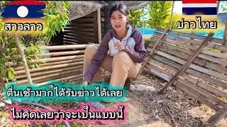 ตื่นเช้ามาก็ได้รับข่าวร้ายเลย ￼ เศร้าใจมากไม่คิดว่าจะเป็นแบบนี้