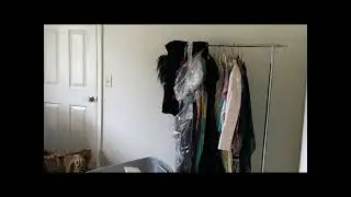 Estate Cleanout