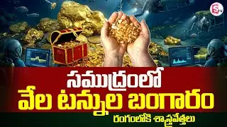 How Much Gold Is Hidden in the Sea ? The Truth Will Shock You! | SumanTV Sai | @SumanTVGoldPulse