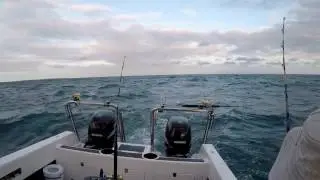 Offshore Angling Africa Inhaca Challenge 2017