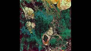 Wiseloop - Rising