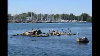 Viaggio in CANADA
