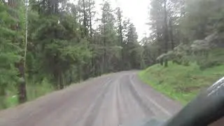 Kennedy Crossing the Malheur Forest