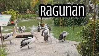 ZOO TO JAKARTA