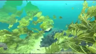 Onderwater Englishman Bay Tobago