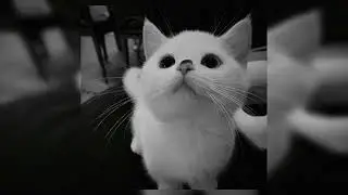Under Your Spell (slowed best part)