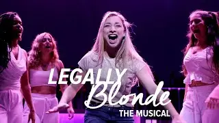 NYU Tisch New Theatre's LEGALLY BLONDE