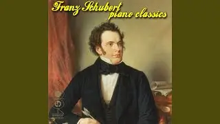 Piano Sonata N. 18, In D, Op. 53, D.859, Con Moto